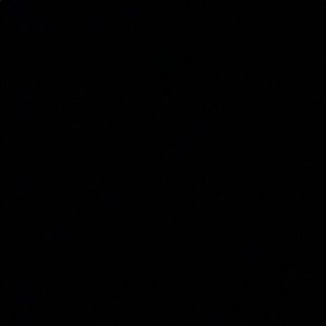 Meet your Posher, Wyatt